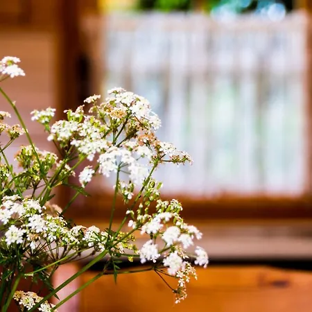 Na Lesnej Alojamento de Turismo Selvagem Sztutowo