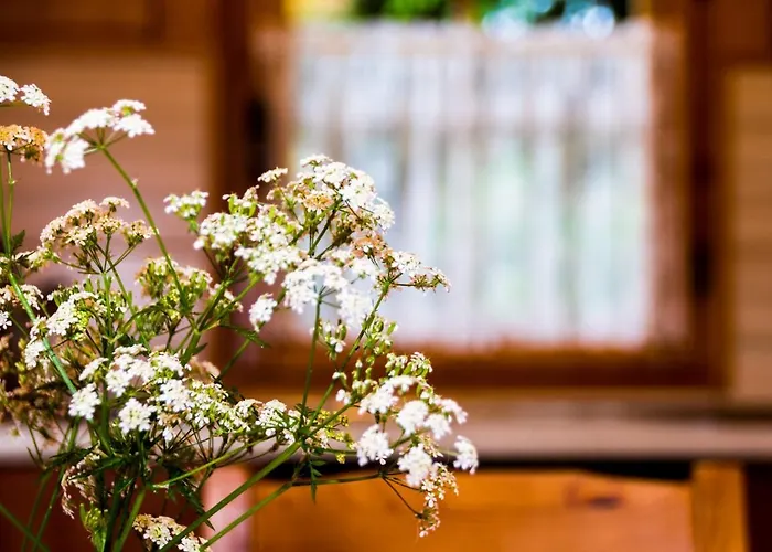 Na Lesnej Alojamento de Turismo Selvagem Sztutowo